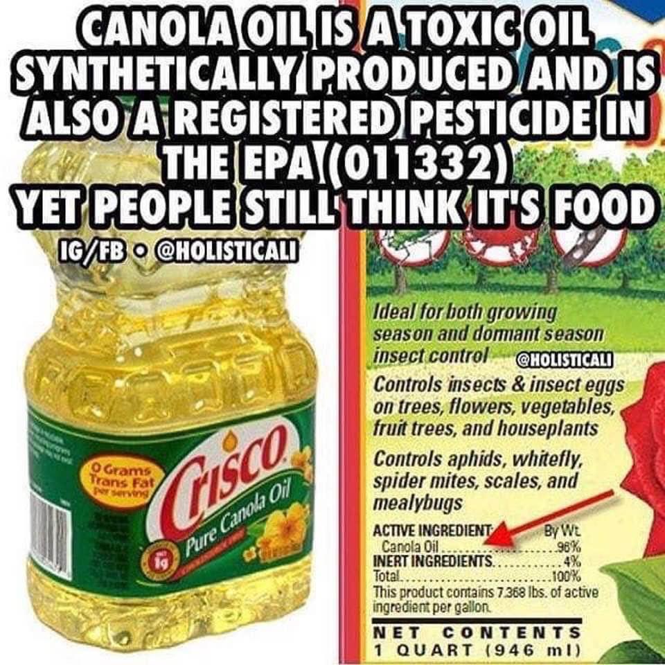 This is why I don’t eat out any more.  
Most restaurants use cheap canola oil.  
#EatOrganic #OrganicWholeFoods 
I use #butter #Sesameoil   #AvocadoOil #oliveoil 
#RespectfullyMoneca #OmShanti #CollagenBabe #Biohacker #SuperHolisticHacks #billionboomers #CosmicReporter