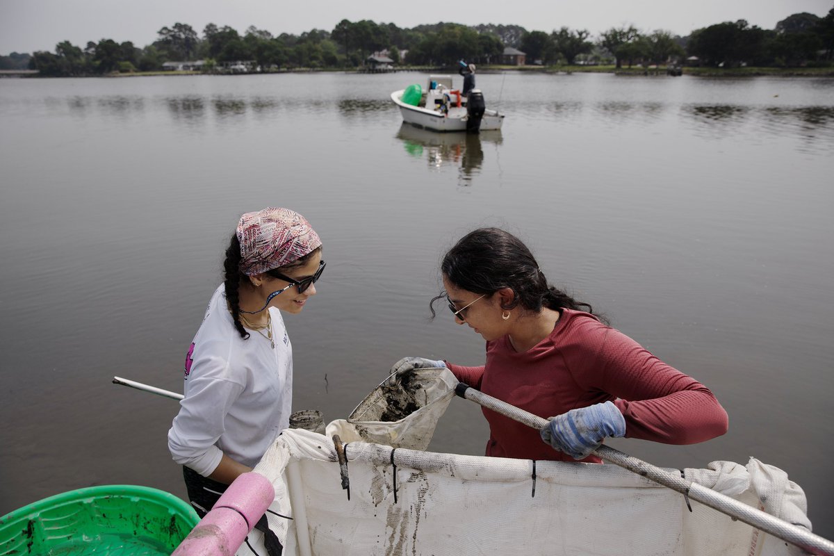 lucia_ramirezj4's tweet photo. A little late but my 4th and last fieldwork day was last Friday June 30th. It’s was the longest day we’ve had. We came across eels, got stung by many sea nettles, and got these amazing pictures from Megan May (not on twitter)! Now all of my thesis fieldwork is complete! 🤯🦪 https://t.co/ilvAduNEsR