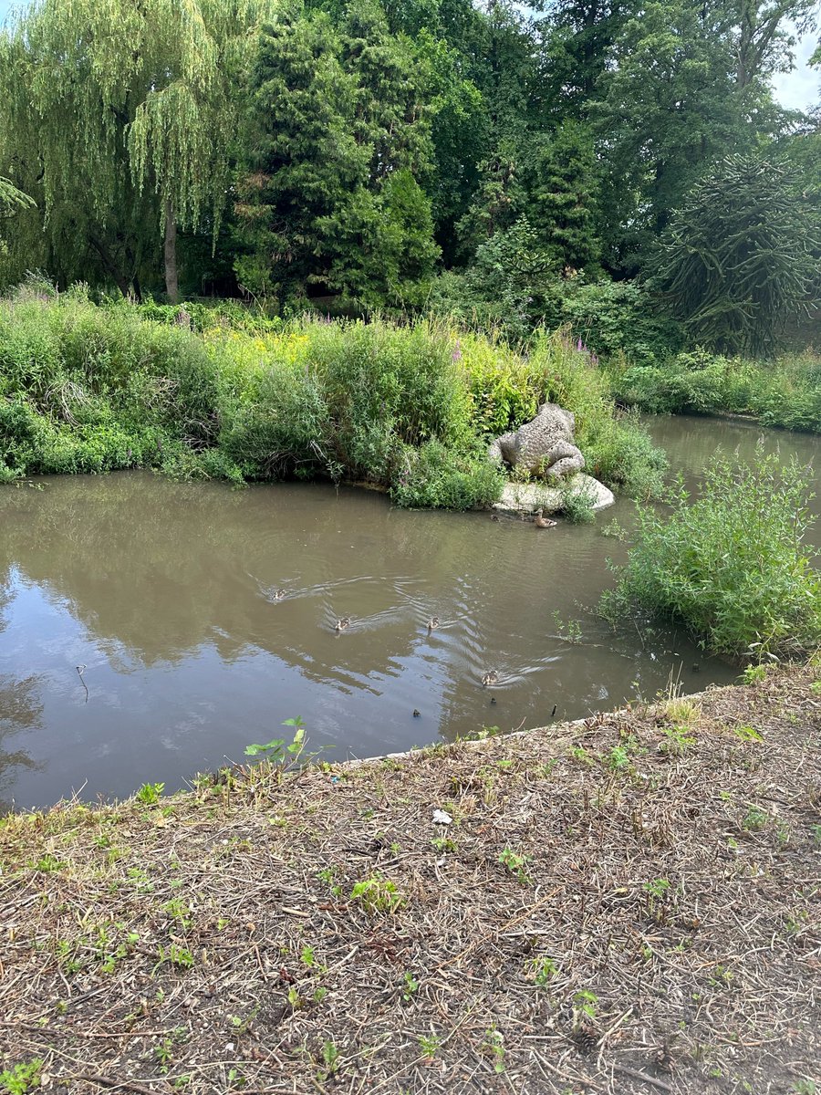 Crystal Palace tweet media