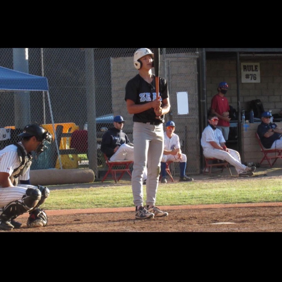 San Francisco Seals tweet media