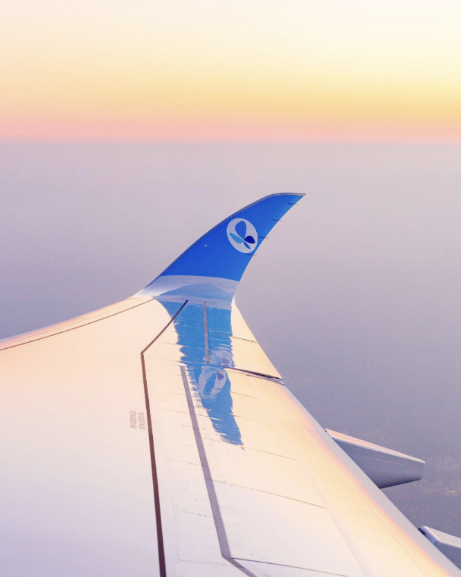 French bee ✈️ tweet media