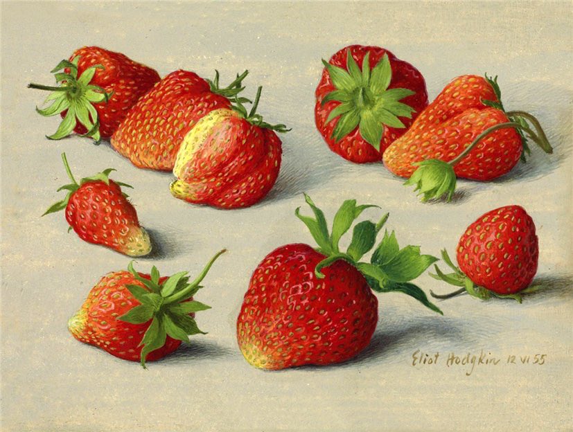 Nine strawberries. Elliot Hodgkin. 1955. Private Collection. This is one of the easiest recipes for strawberry ice cream without an ice cream maker. Recipe on instagram.com/paolagavin #icecream #frozendesserts #esyrecipes #stilllife #elliothodgkin #foodpics #icecreamlover #recipe