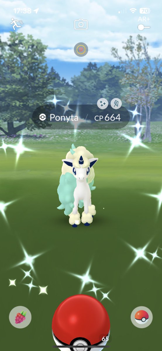 CoreyCHaynes's tweet photo. Lovely dog walk shiny ✨🦮
#PokemonGO #PokemonGOfriends #PokemonGOCommunity #PokemonGOApp https://t.co/Wetv3fvJs8