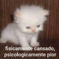 𝖘𝖘𝖘 (@sonia15g) on Twitter photo 