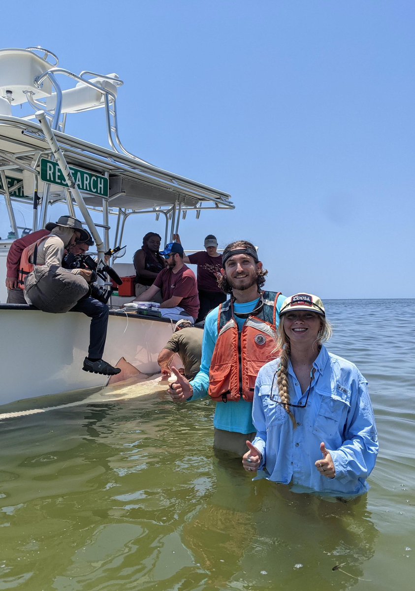 FSU Coastal & Marine Lab tweet media