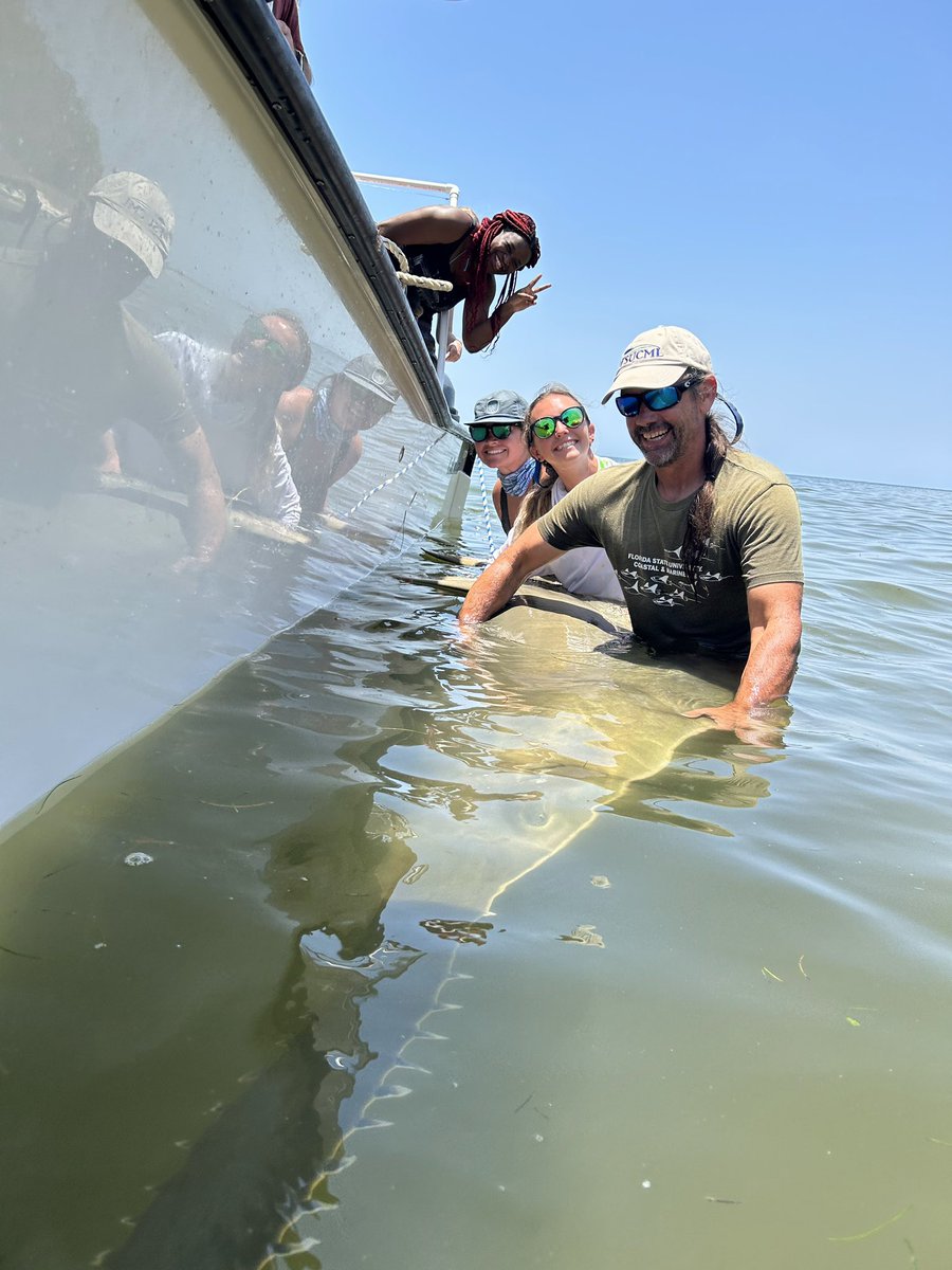 FSU Coastal & Marine Lab tweet media
