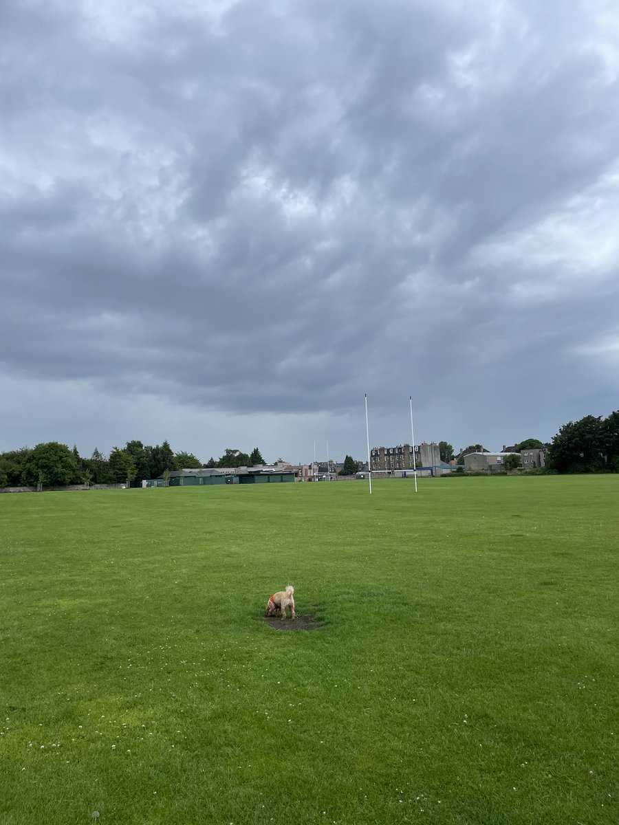 Yesterday #Sete Today #Edinburgh

Different skies…. Back to Scotland with a bang. Suppose rain is what makes it such a green and pleasant land 🌞 ☔️