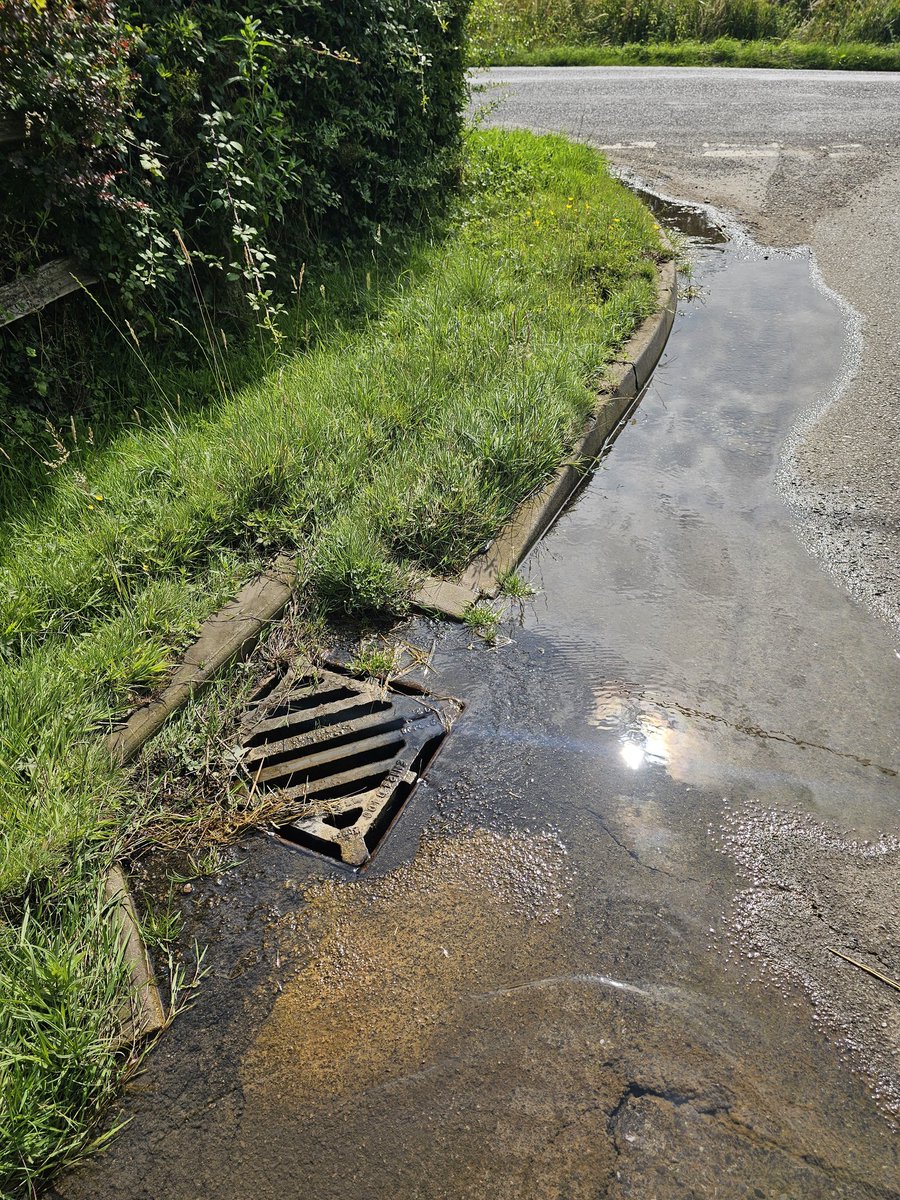 Mark Batt tweet media