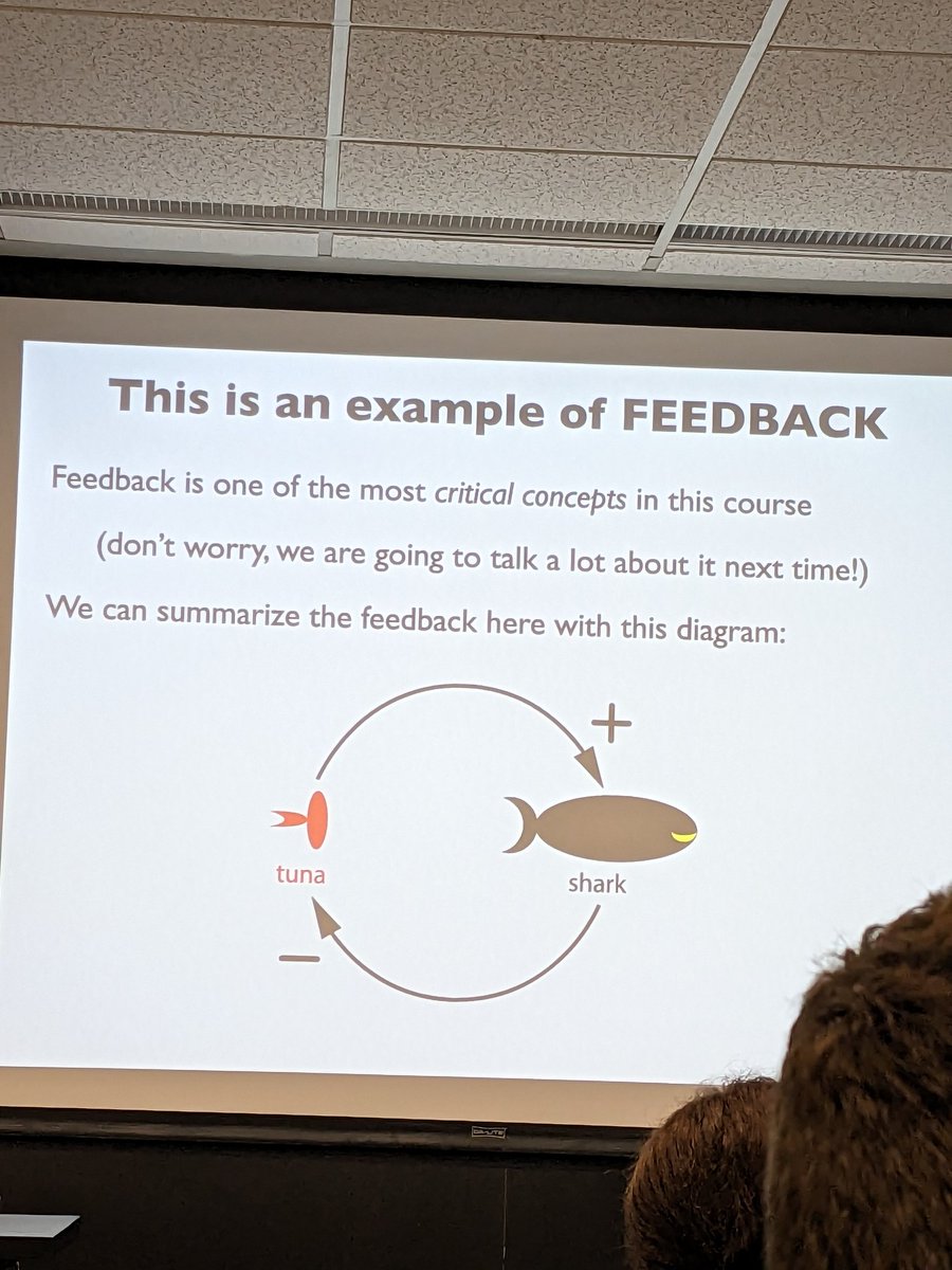 MrsDrBirgen's tweet photo. Feedback is one of the most important concepts in the class. #modelingMasterClass https://t.co/c9pzGyftdy