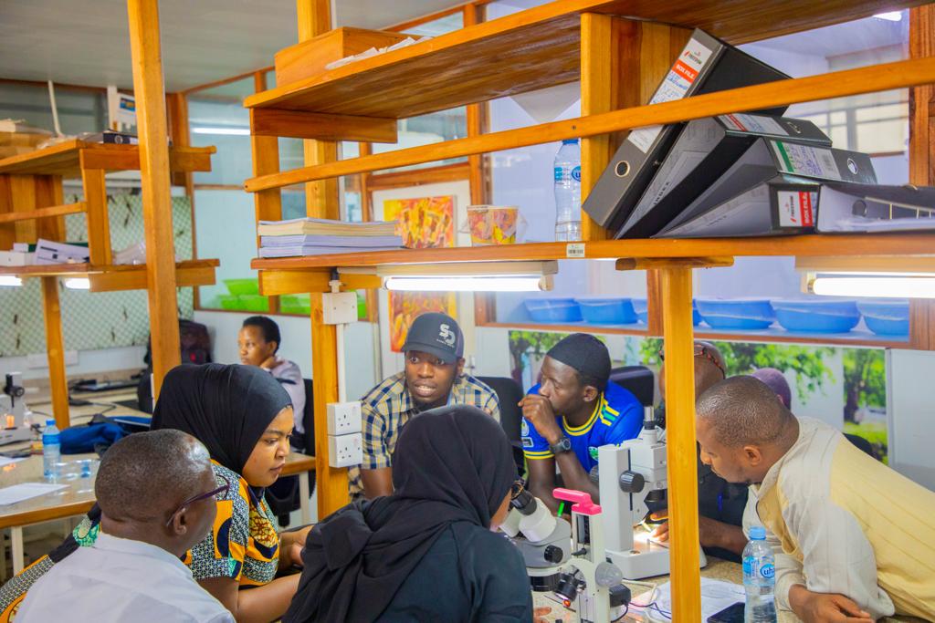 Day 6: Ifakara - The Gambia Training Program for Malaria Entomology
~
We continued today; with the first session on Adult Mosquito Surveillance.  Another excellent day at <a href="/ifakarahealth/">Ifakara Health Institute</a> in preparation for some real field work in the rural villages in Kilombero Valley, south