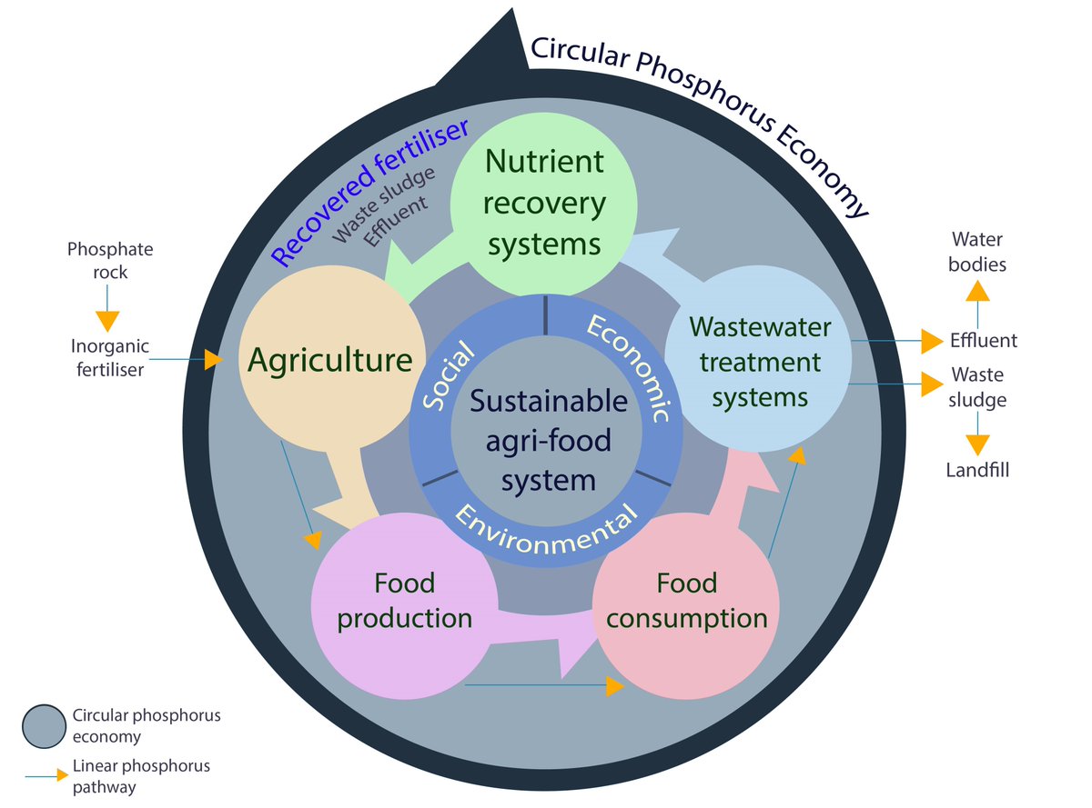 dpsaroj's tweet photo. Waste Nutrient Recycling for Sustainable Agriculture in the Philippines: we are actively looking for support to demonstrate further the impact of NexCities: 
https://t.co/IGW3iBSVqM
https://t.co/uafmLNArAk
https://t.co/6YjisFOusL 
#NewtonPrize 
@FundInnovDev @gatesfoundation https://t.co/0bYt6IFXxV