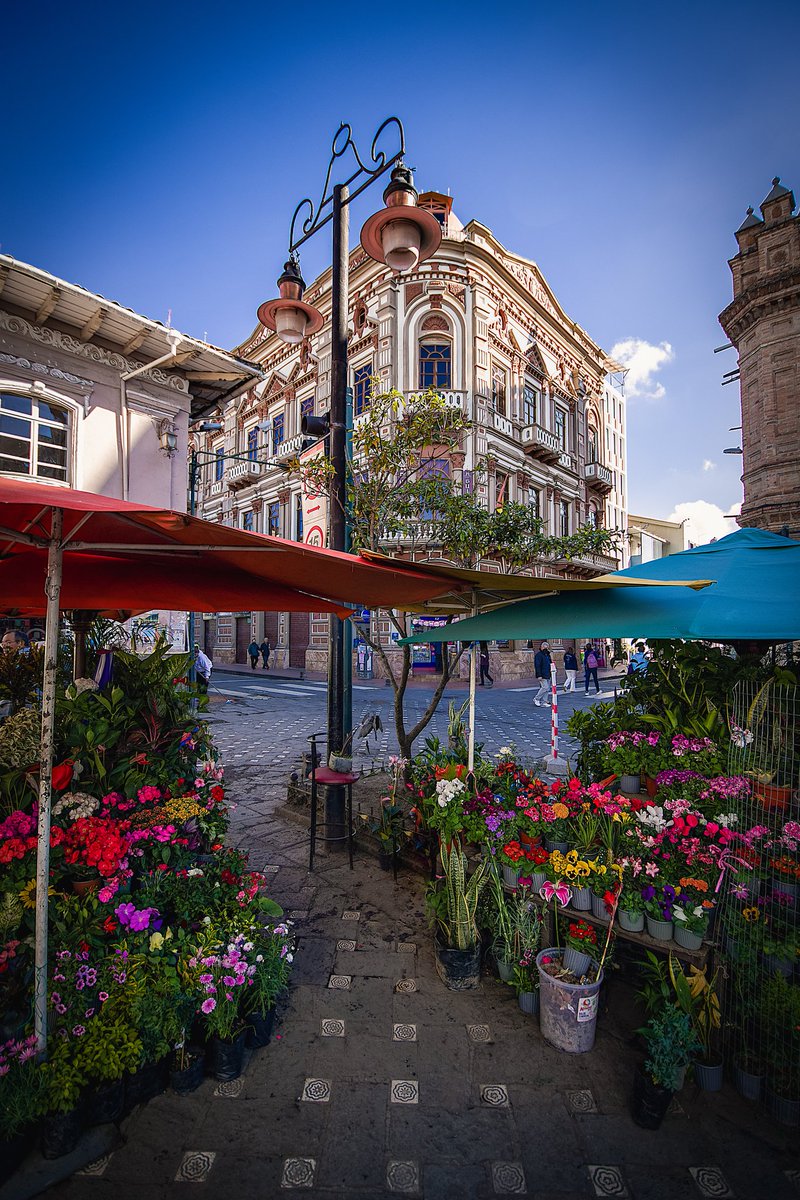 La esquina de la plaza 🌼🌷🌸
#Cuenca
#Ecuador