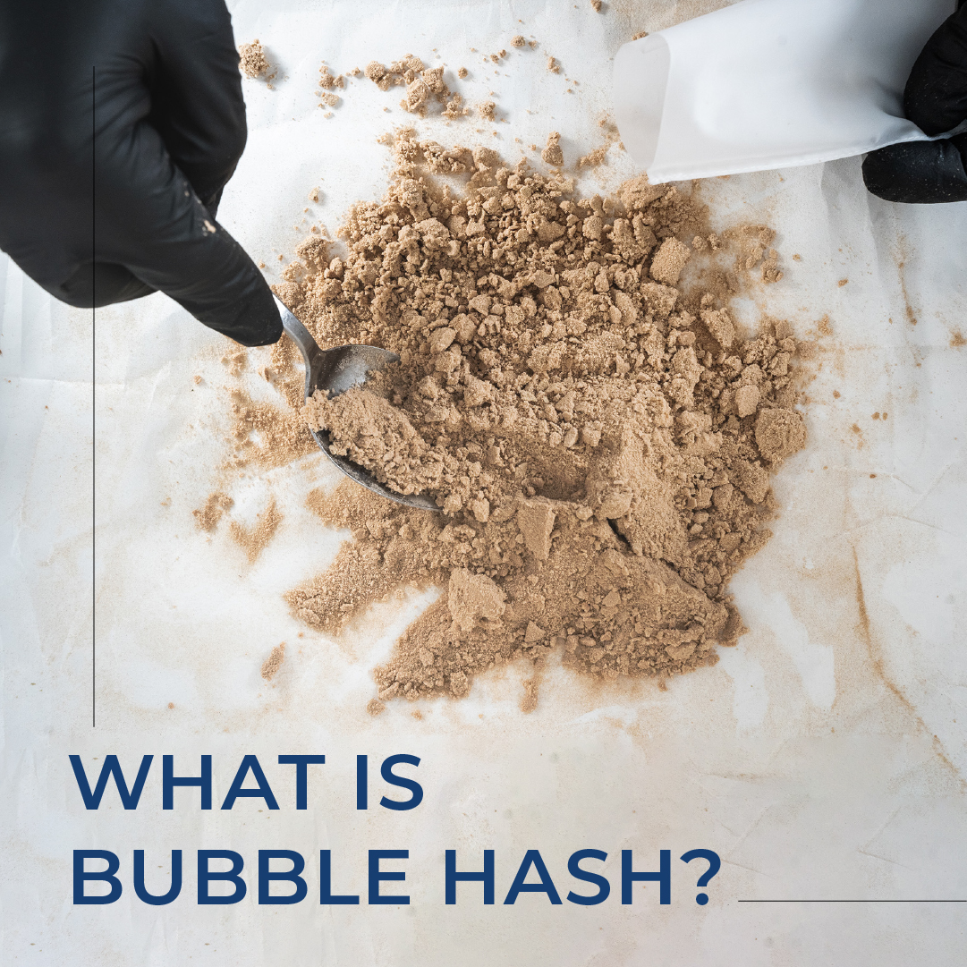 MobiusTrimmer's tweet photo. Knowing everything you can about extracts like bubble hash is key to fine-tuning your processes and operations for the best results. Read our new blog: https://t.co/S1ySP4zTmz
.⁠
.⁠
.⁠
.⁠
#Mobius #Cannabis #Automation #Blog #MobiusTrimmer #BubbleHash #IceWaterHash https://t.co/r0MSncHEpa