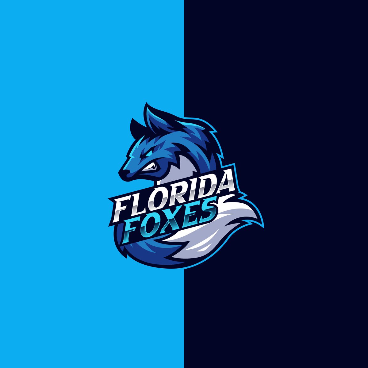 Florida Foxes tweet media