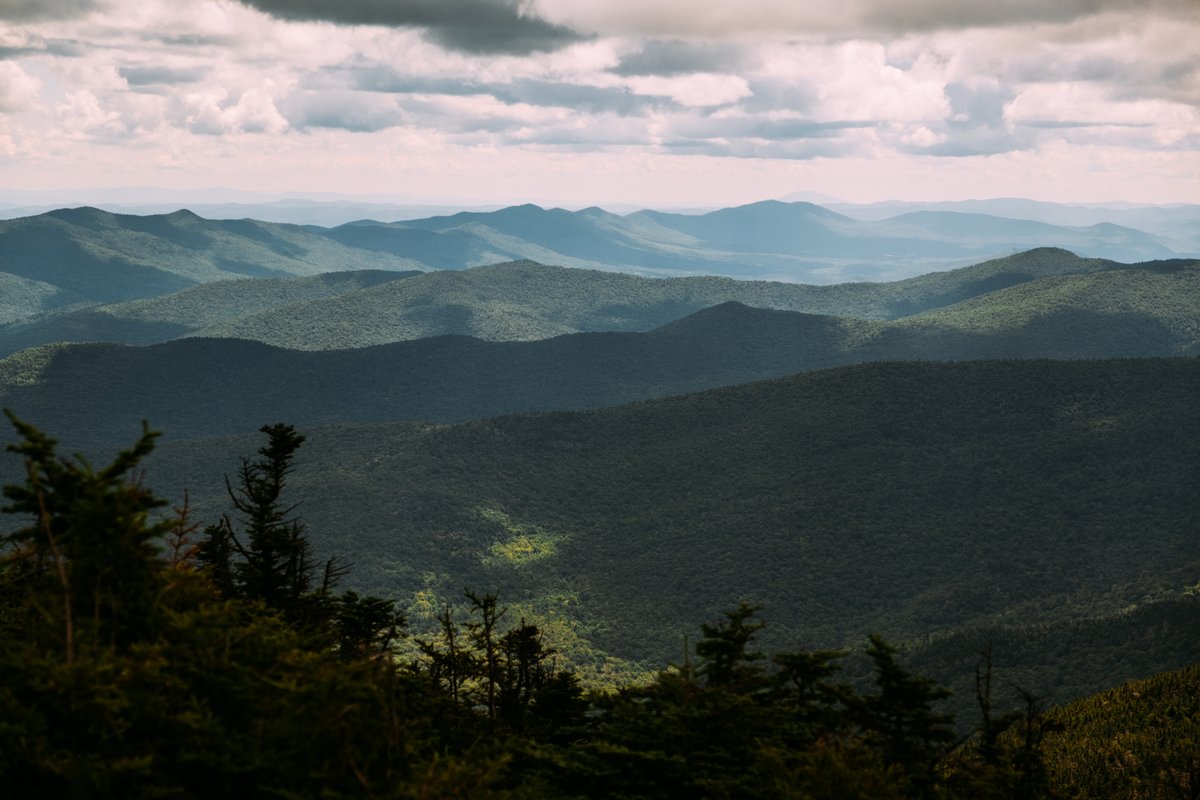 VermontTourism's tweet photo. Green Mountain National Forest's 400,000 conserved acres tell the story of Vermont's land, from historic Indigenous sites to Civilian Conservation Corps trails today used for mountain biking and hiking. Enjoy an auto tour or try your luck seeing a moose. #NationalForestsWeek https://t.co/lREiw5Au3B