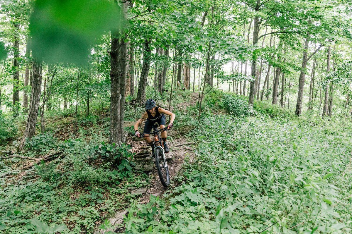 VermontTourism's tweet photo. Green Mountain National Forest's 400,000 conserved acres tell the story of Vermont's land, from historic Indigenous sites to Civilian Conservation Corps trails today used for mountain biking and hiking. Enjoy an auto tour or try your luck seeing a moose. #NationalForestsWeek https://t.co/lREiw5Au3B