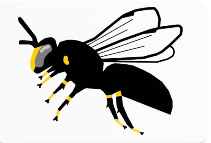 NashTurley's tweet image. I designed a logo based on one of my favorite bee genera, Hylaeus, and made a swag shop were you can get it on a variety of stuff like shirts and hats

pawildbees.myspreadshop.com/hylaeus+bee?id…