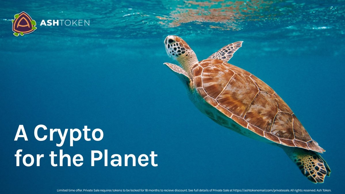 AshToken tweet media