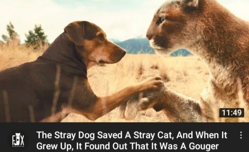 Stairway to Starclan tweet media