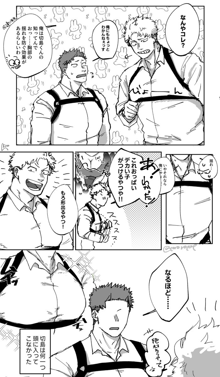 胸部のサポーターです(切ファ