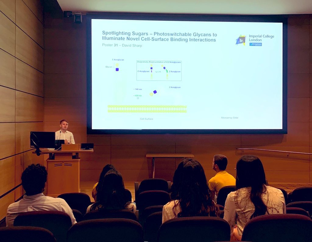 DSharpScience's tweet image. Two great days of science and sharing my recent project updates at the @impchemistry @imperialcollege PG and @TheCrick Partner Summer Symposiums. A fantastic chance to chat science and generate new ideas to take the project forward! #glycotime #photoswitches