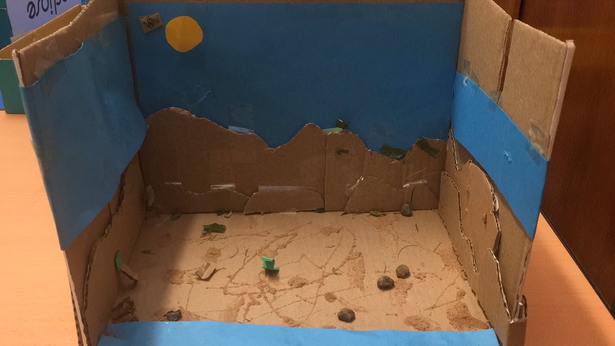 Class 3 created desert dioramas in art day today! They have used different materials creatively to build their desert scene! #stjohnscurriculumart