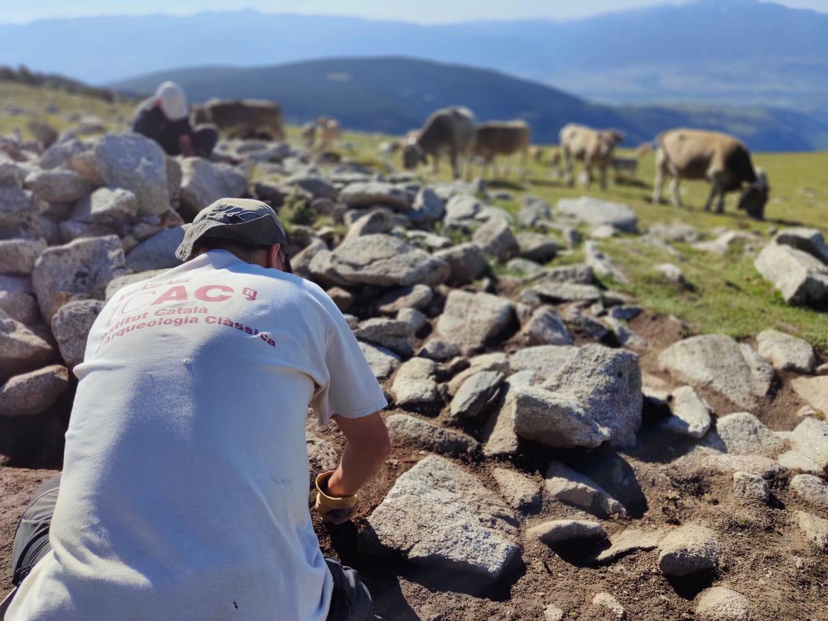 ICAC_cat's tweet photo. Després d la neteja i preparació del #jaciment, l'equip @GIAP_ICAC a Coll de Molleres I concentra els esforços en delimitar els murs de l'àmbit que es va obrir en extensió durant la campanya 2022.
#Meranges #Cerdanya #Transcapes #SomCERCA
Amb el suport d @cultura_cat i @AgEInves https://t.co/nT63vOZBLx