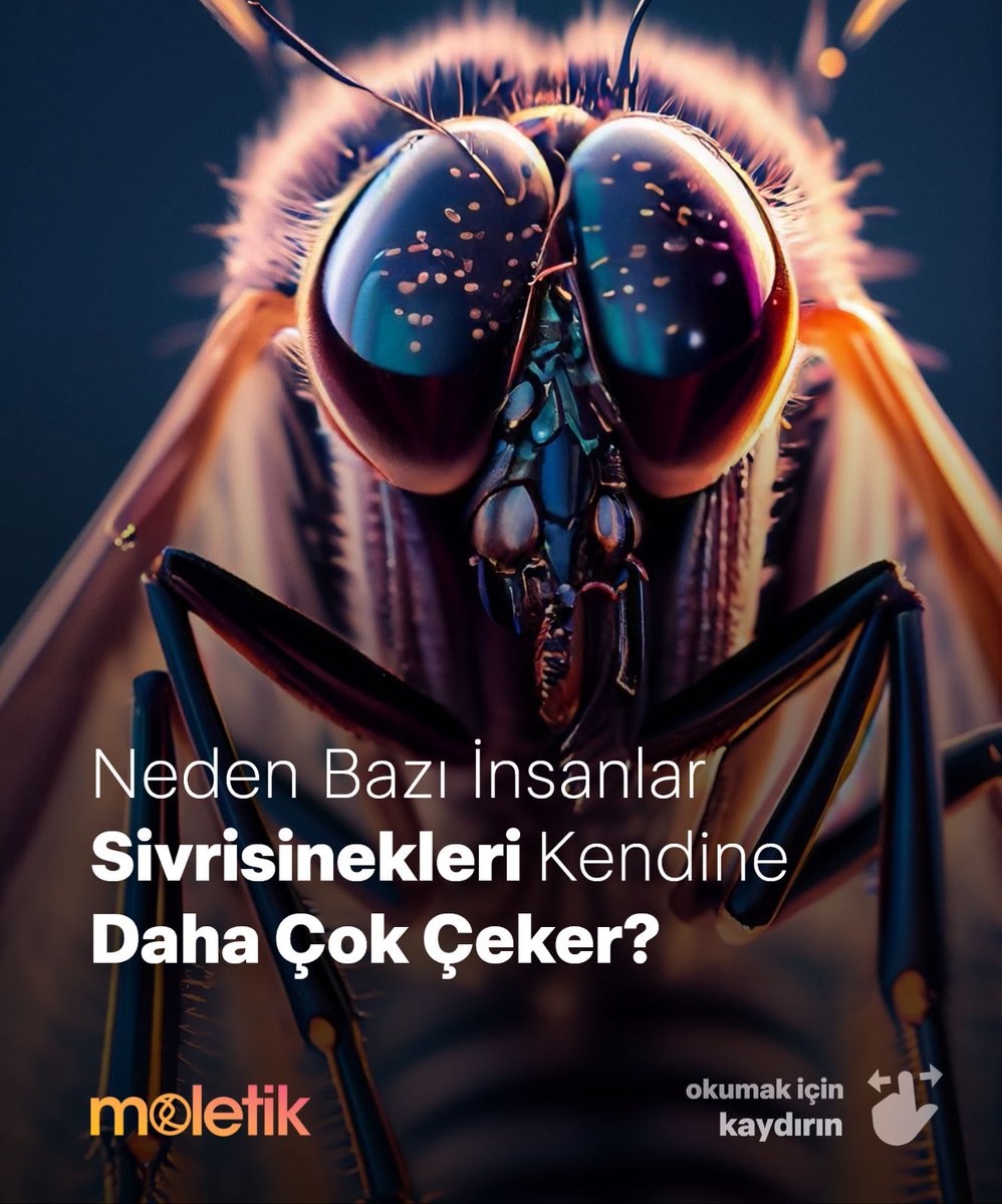 moletikcom's tweet image. Bazı insanların sivrisinekleri neden daha çok çektiği hakkında ilginç teoriler var! Kan grubu, kan şekeri, beslenme ve hatta cinsiyet faktörleri bu durumu etkileyebilir. 

#Sivrisinek #Doğal #Vücut #Kimya #Keşfet #Bilim