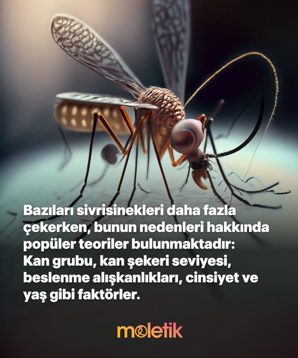 moletikcom's tweet image. Bazı insanların sivrisinekleri neden daha çok çektiği hakkında ilginç teoriler var! Kan grubu, kan şekeri, beslenme ve hatta cinsiyet faktörleri bu durumu etkileyebilir. 

#Sivrisinek #Doğal #Vücut #Kimya #Keşfet #Bilim