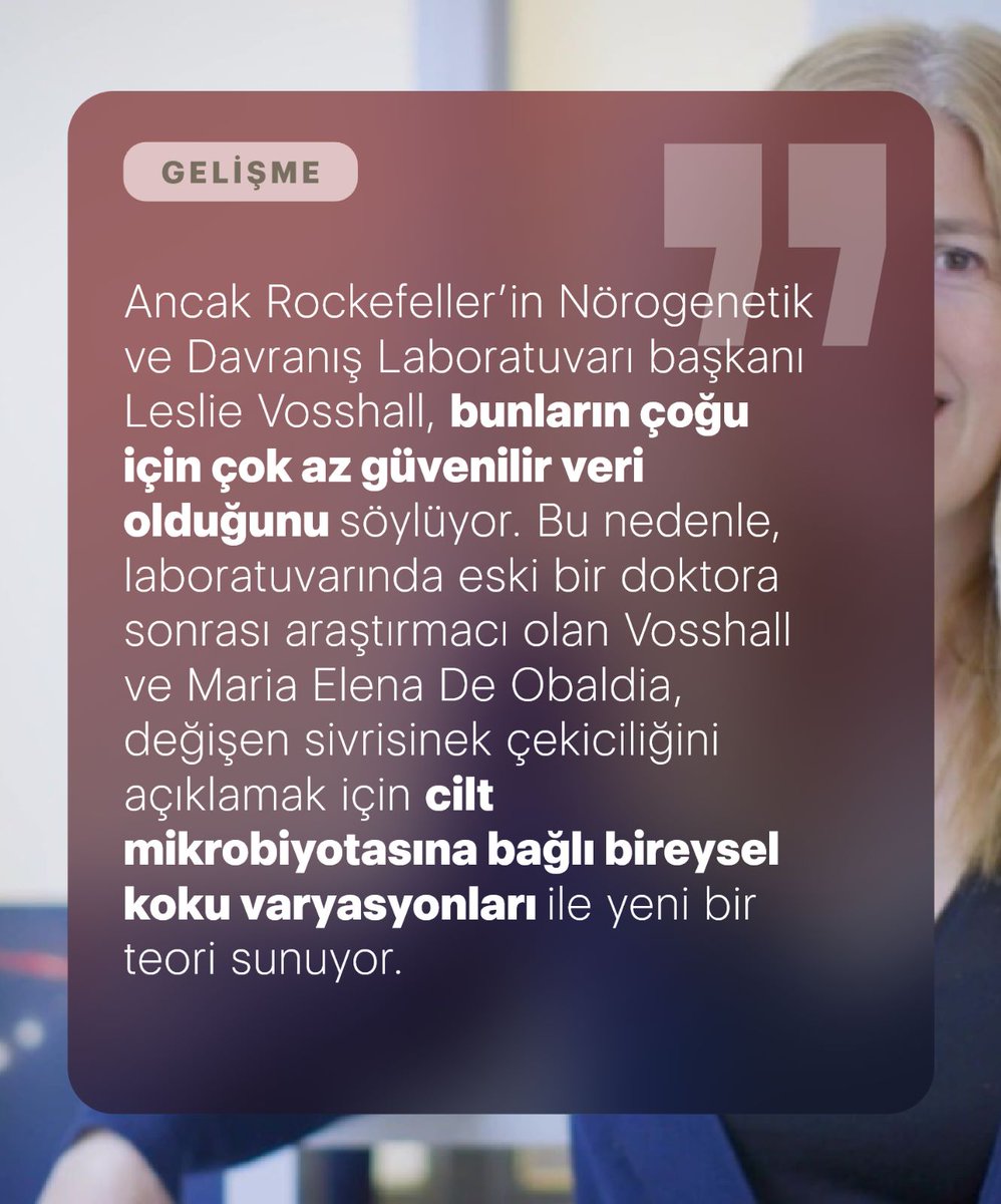 moletikcom's tweet image. Bazı insanların sivrisinekleri neden daha çok çektiği hakkında ilginç teoriler var! Kan grubu, kan şekeri, beslenme ve hatta cinsiyet faktörleri bu durumu etkileyebilir. 

#Sivrisinek #Doğal #Vücut #Kimya #Keşfet #Bilim