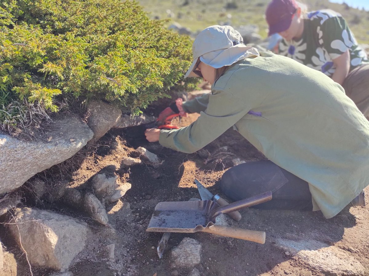 ICAC_cat's tweet photo. Després d la neteja i preparació del #jaciment, l'equip @GIAP_ICAC a Coll de Molleres I concentra els esforços en delimitar els murs de l'àmbit que es va obrir en extensió durant la campanya 2022.
#Meranges #Cerdanya #Transcapes #SomCERCA
Amb el suport d @cultura_cat i @AgEInves https://t.co/nT63vOZBLx