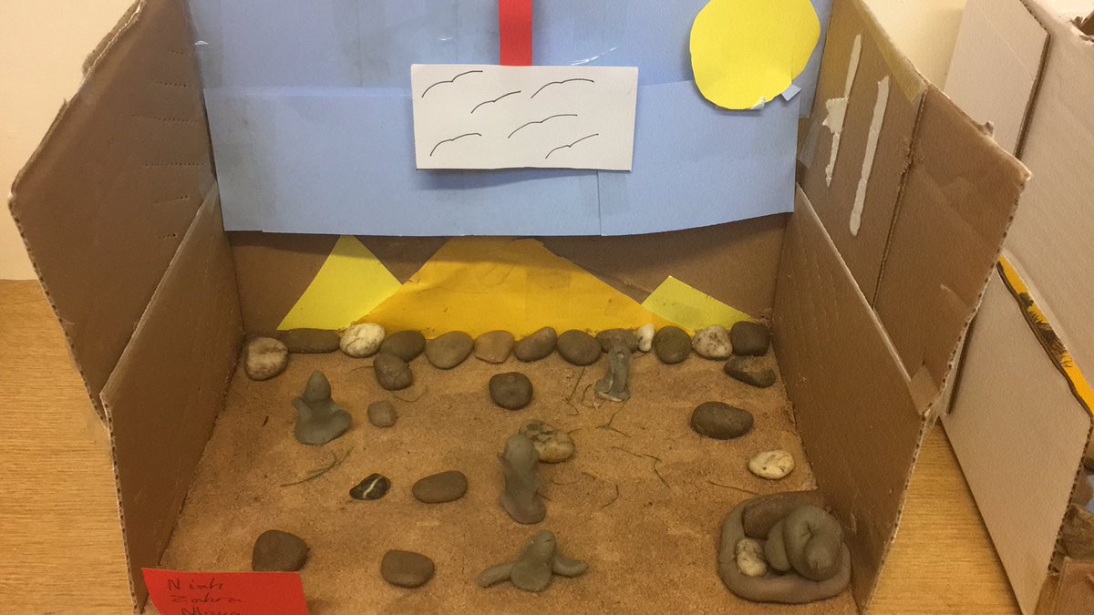 St John's CE (VA) J&I School Year 3 tweet media