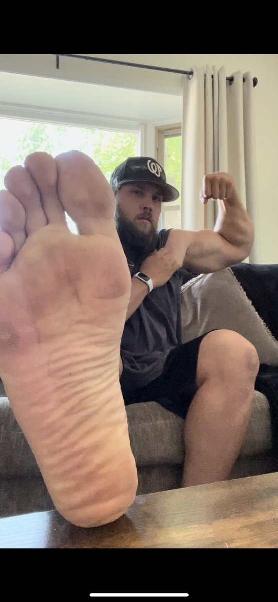 - NorthernAlpha 🐺 (3k) tweet media