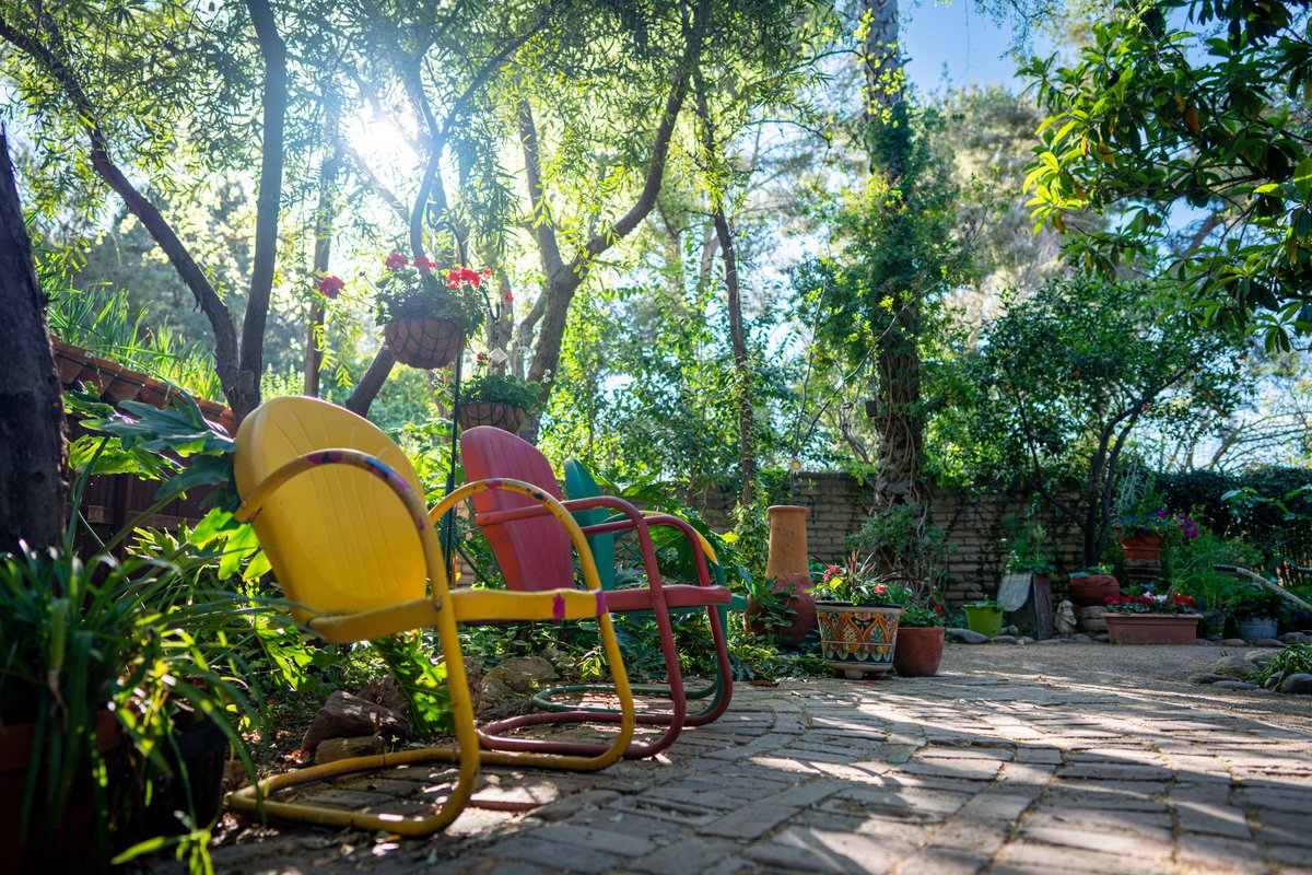 We're nominated for Best Public Garden! Vote for us for Best of Tucson 2023! 🦋
surveymonkey.com/r/BestofTucson…