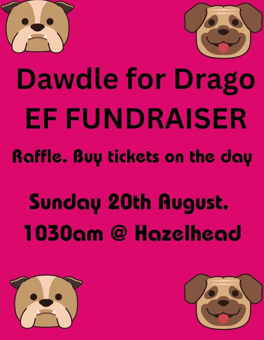 EdwardsFriend's tweet photo. Whoβs up for a Dawdle to raise some funds? Come along meet some of team Scotland π΄σ §σ ’σ ³σ £σ ΄σ Ώ and we promise lots of smoochies from our very own #TheEdwardFoundation #Bulldogs #WeNeedYou https://t.co/JfEpEOig92