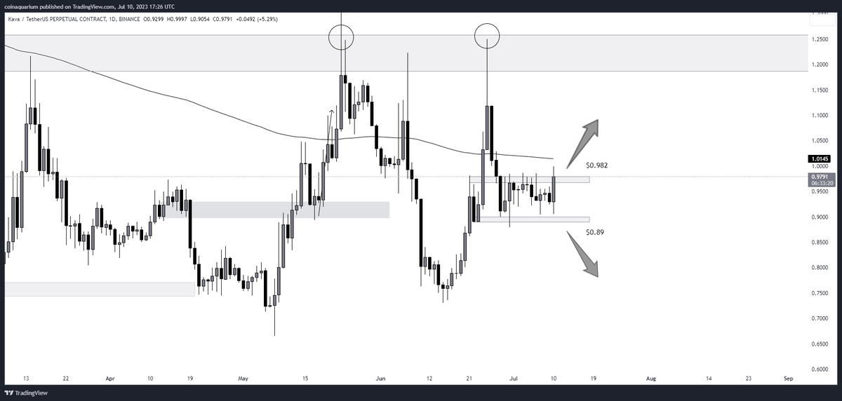 Coin Aquarium tweet media