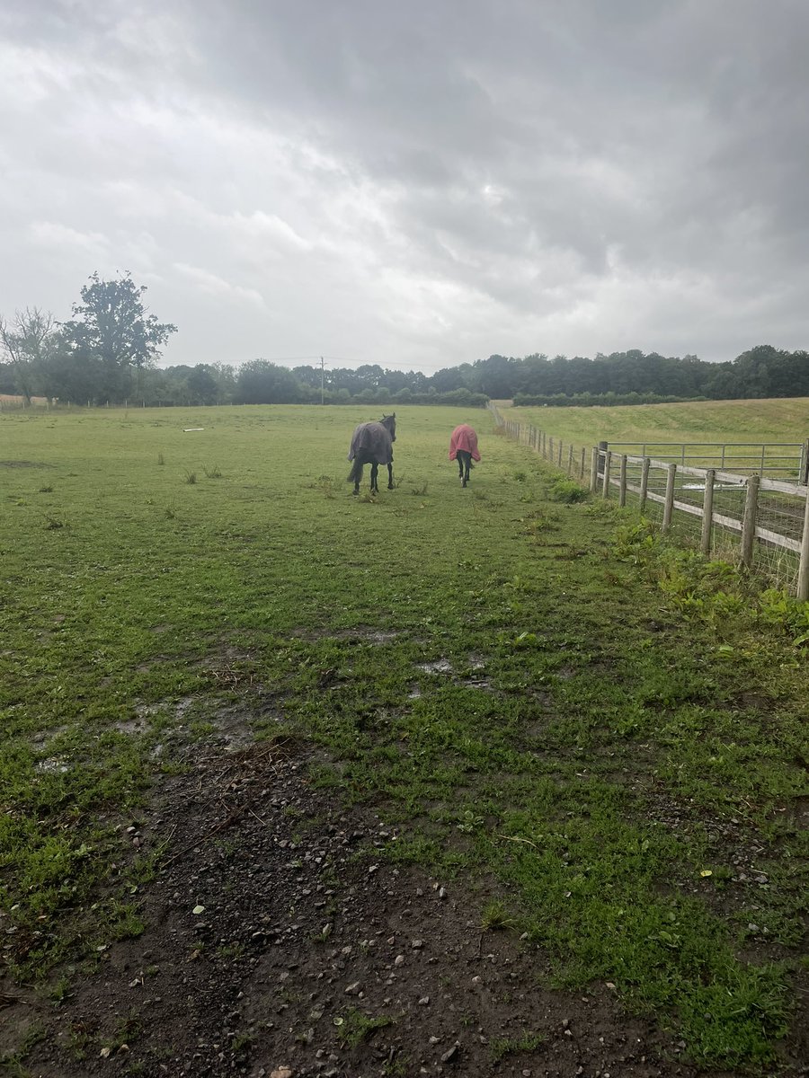 GMissrphillips's tweet photo. Listening to the @FroebelTrust podcast whilst sorting my horses in the rain. Definitely worth a listen #earlyyears #outinallweathers #learningthroughplay #naturelover #froebel https://t.co/wD3xfvEGtl