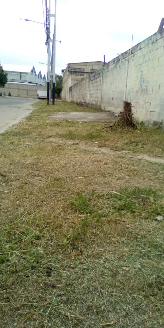 📢 #10Jul Cuadrilla Jefatura d Servicios Públicos Samán d Guere EJE 3 SERPUMAR activas y activos con nuestra Alcaldesa <a href="/johanitakenpo/">Joana Sánchez</a> : Desmalezamiento Limpieza Calle Oeste Comunidad Villa Tejera Rural  <a href="/MarinoDeTodos01/">@MariñoDeTodos</a> <a href="/YoDefiendo_SM/">Yo Defiendo Haciendo. Santiago Mariño 3.0</a>