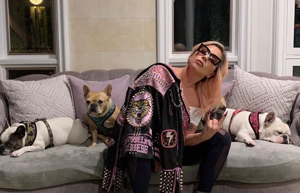 PopBase's tweet photo. Judge rules in Lady Gaga’s favor and dismisses lawsuit from woman who sued for not receiving the $500,000 reward for Gaga’s dogs, even though she participated in the kidnapping. 

“You can't benefit from your own criminal act,” the judge stated. https://t.co/Ya2brlQNzg