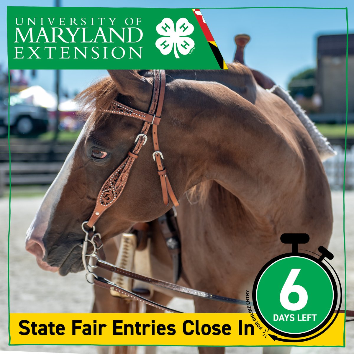 Maryland4H's tweet photo. Hurry, don't be late! There are only 6 days left to put in all your entries for the Maryland State Fair!
Go to https://t.co/ytMxAPkSeQ
#4h #MarylandStateFair #3GreatWeekends #FairsAndShows #Animals #Art #STEM #Skills #Contests #tractors #engines ๐ https://t.co/ASrYnTqM54