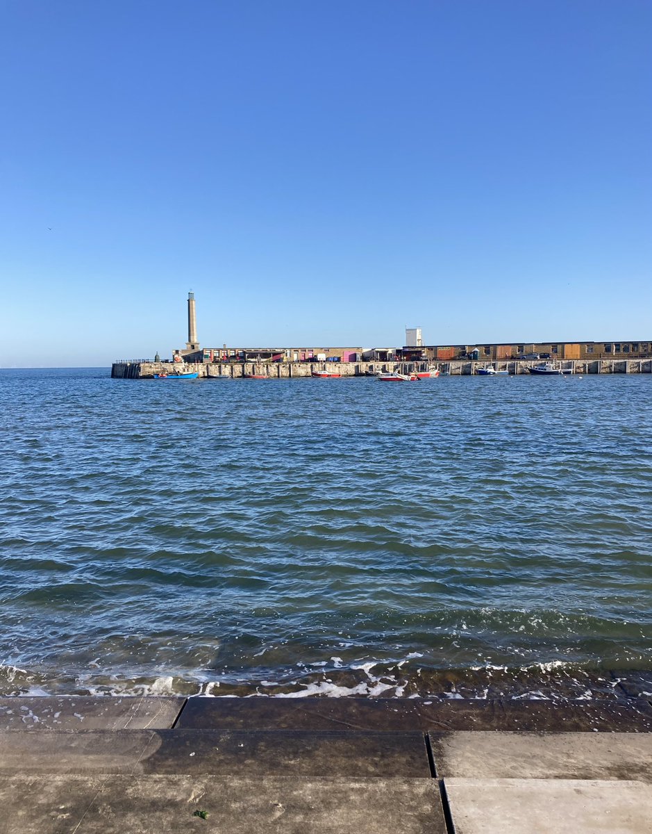 Dr Anna Nelson tweet media