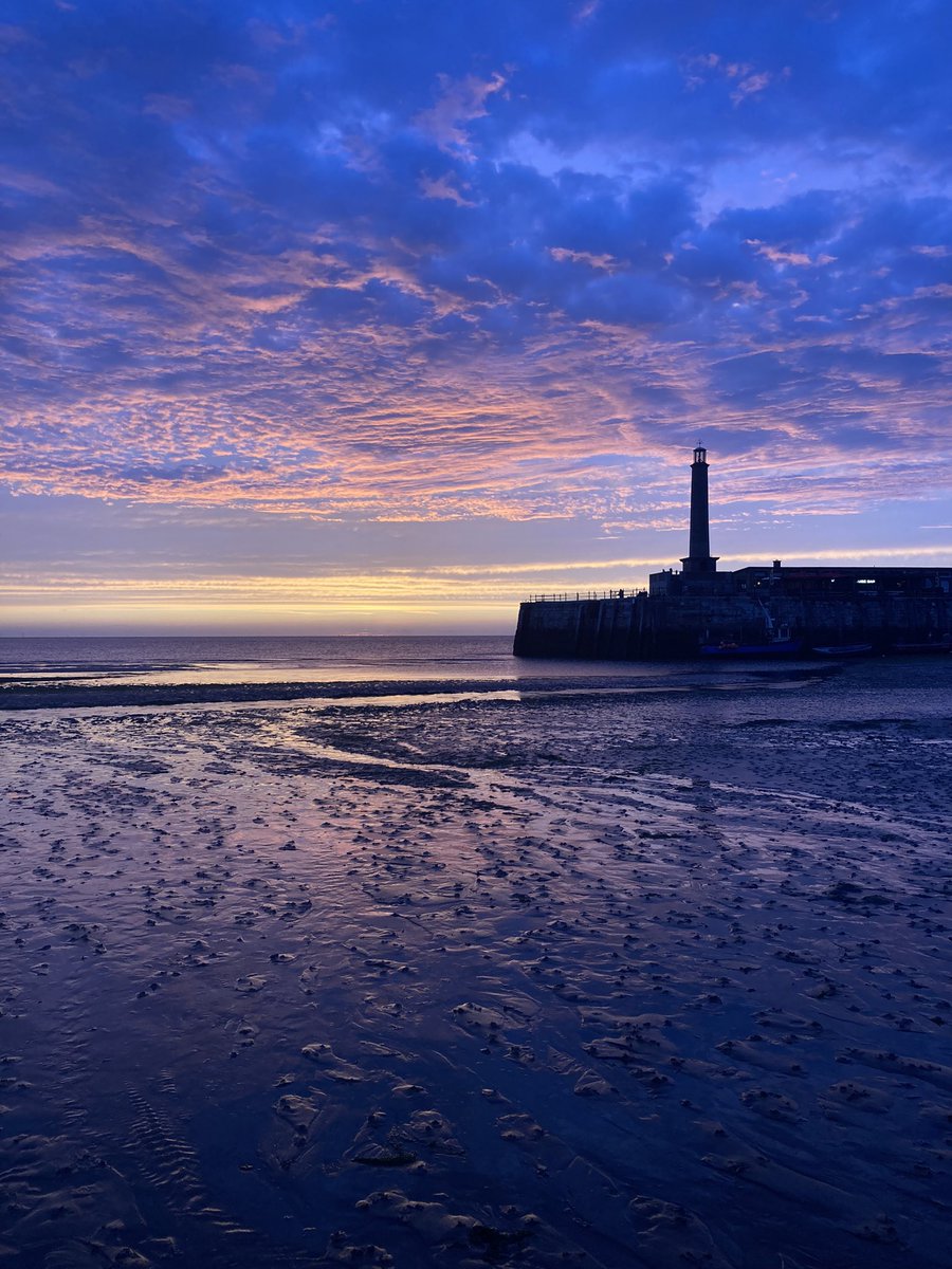 Dr Anna Nelson tweet media