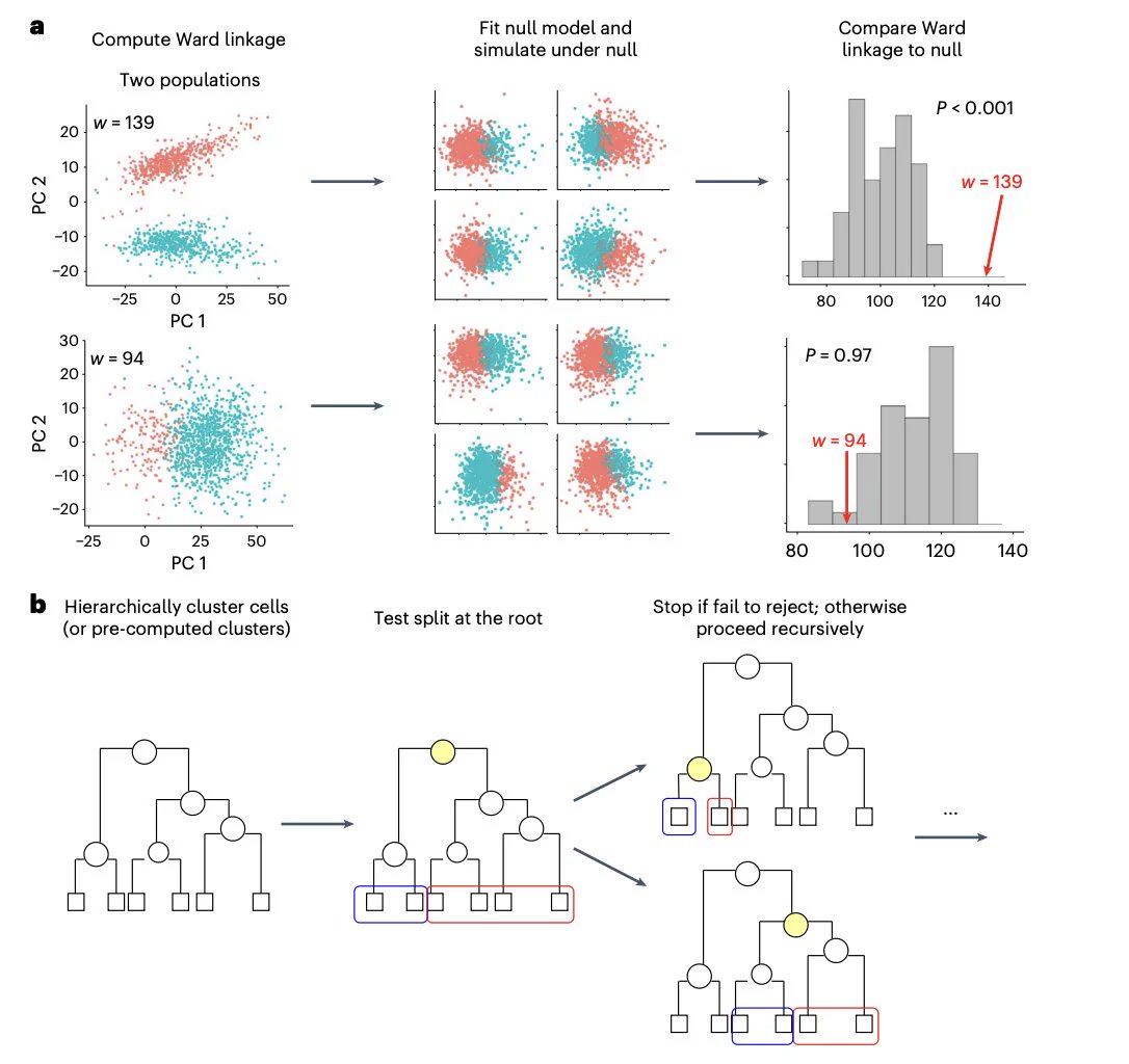 Clustering algorithms report clusters even when none exist. In single-cell RNA-Seq pipelines, novel cell types are often identified by clustering algorithms. Expanding on Kimes et al.'s work, we introduce significance analysis for single-cell RNA-Seq data: nature.com/articles/s4159…