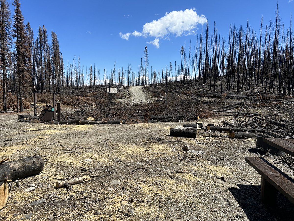 salmonchallisnf's tweet photo. Staff continue to make great progress on hazard tree removal at Wallace Lake CG, A portion of the CG should be open soon while the portion of the CG which sustained more damage from the #MooseFire will require more work & will remain closed for a longer period of time. https://t.co/GxVvFVW6ZZ
