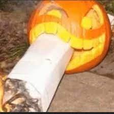 GeneError's tweet image. 