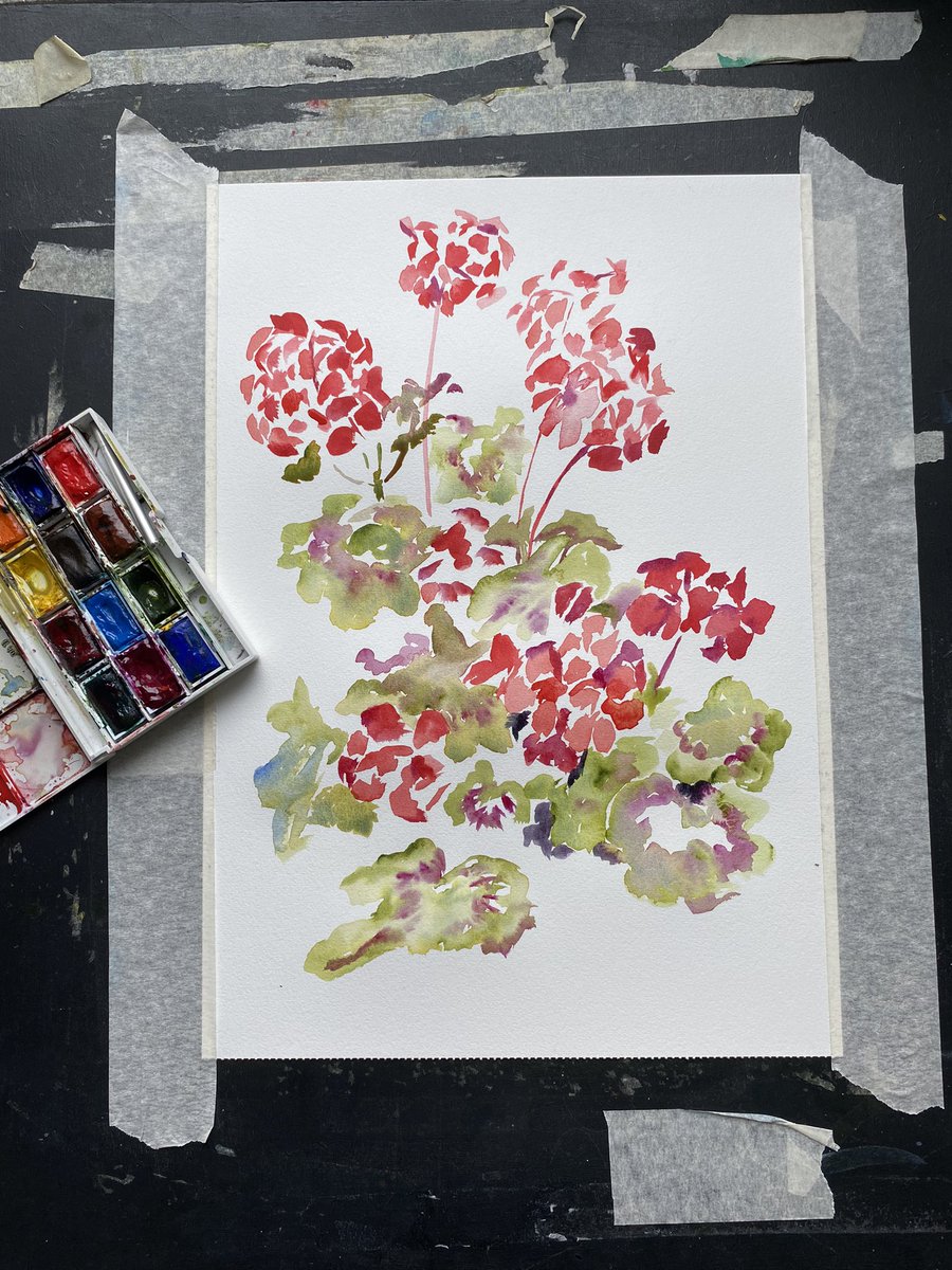 I was late to the #sculptorsdrawingspace table this evening, but got started on this watercolour. I really enjoyed laying down the blocks of colours. Who doesn’t love geraniums?