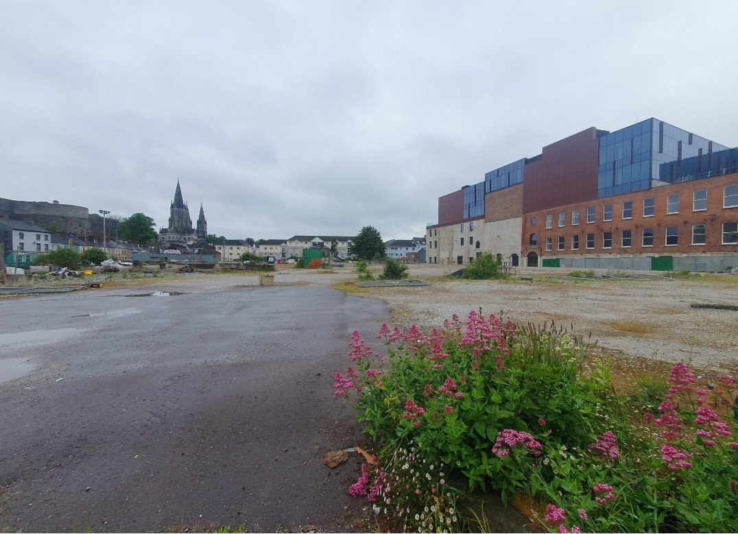 Frank O'Connor tweet media