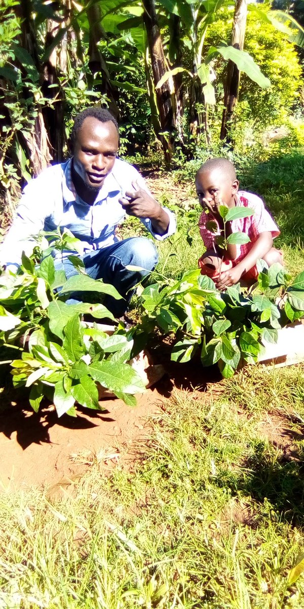 senu_org's tweet photo. The work we are running for it’s something that everyone need to understand
We keep working because our actions inspire us to keep doing
Here are some of the Little updates on the forest under development
#MyForest #ClimateActionNow https://t.co/7ADkkbECmy