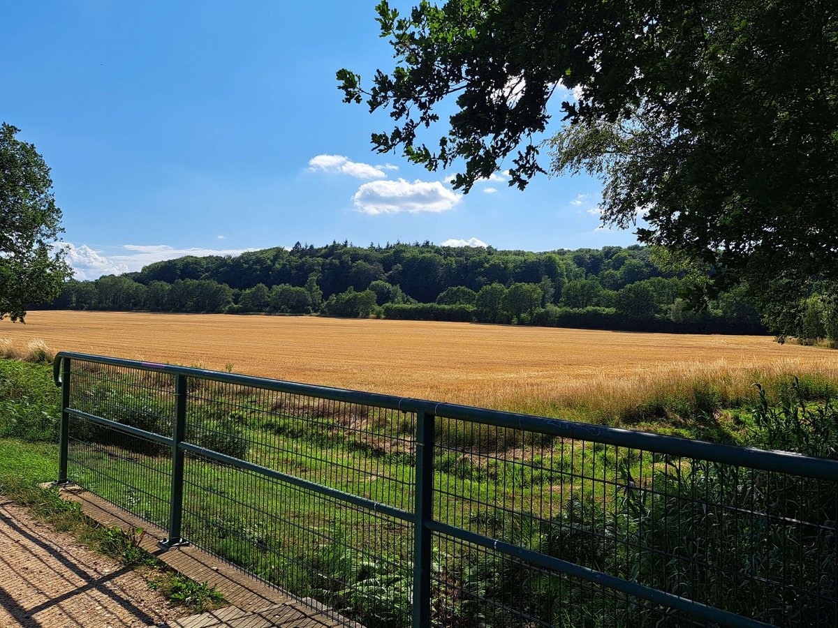 EmilFPS_'s tweet photo. Schätzt die Zeit mit euren geliebten ☀️ https://t.co/SZCTNo46Wu