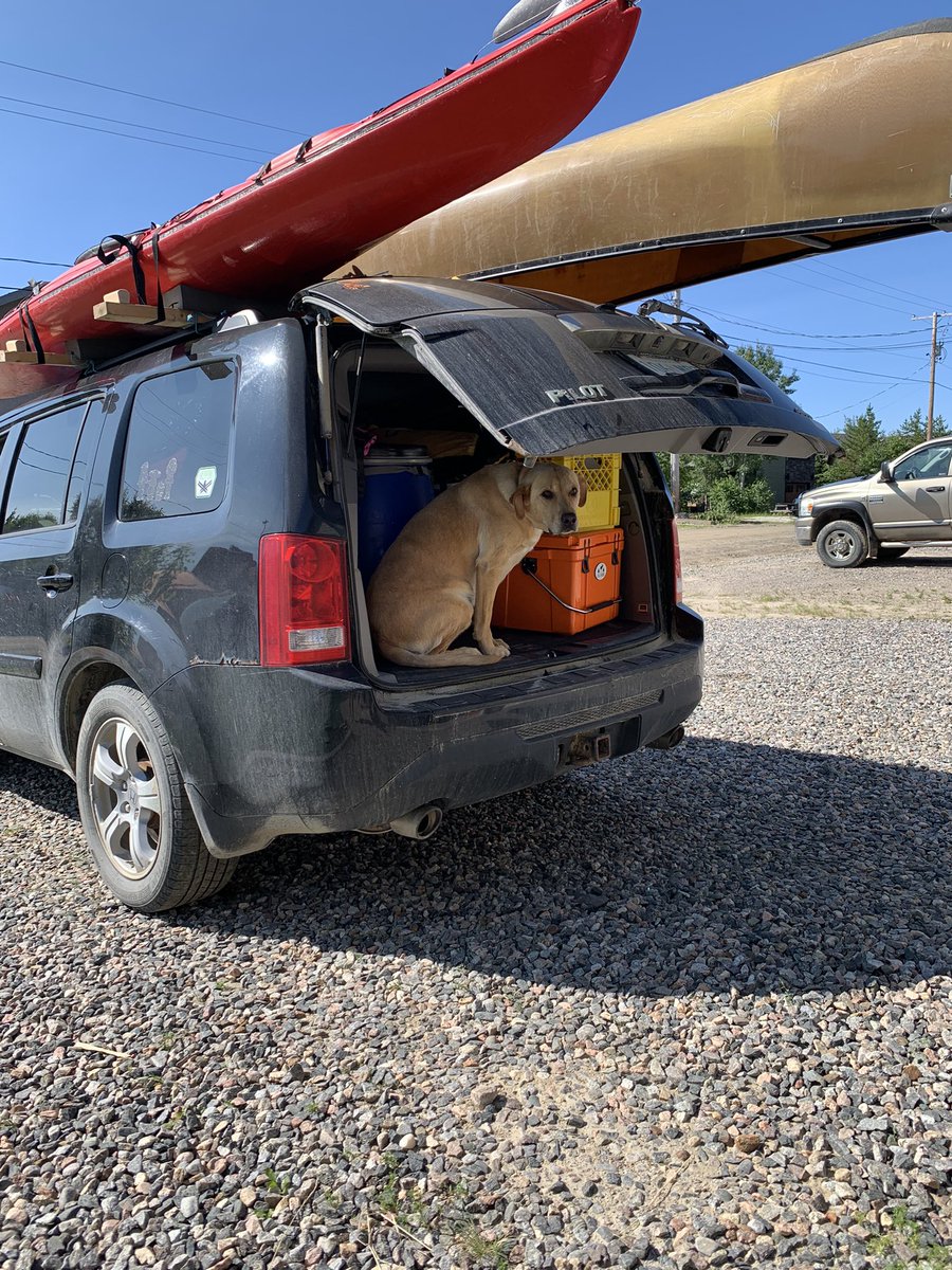 Roxy was intent on coming on this trip with us even though she wasn’t invited. First #paddling trip since my shoulder surgery last year #DickensLake